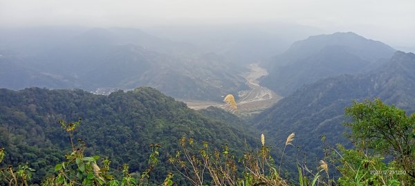 四訪苗栗的花果山-小百岳#037馬那邦山、雪霸國家公園管理處【小百岳集起來、苗栗-臺灣百大必訪步道】2394352