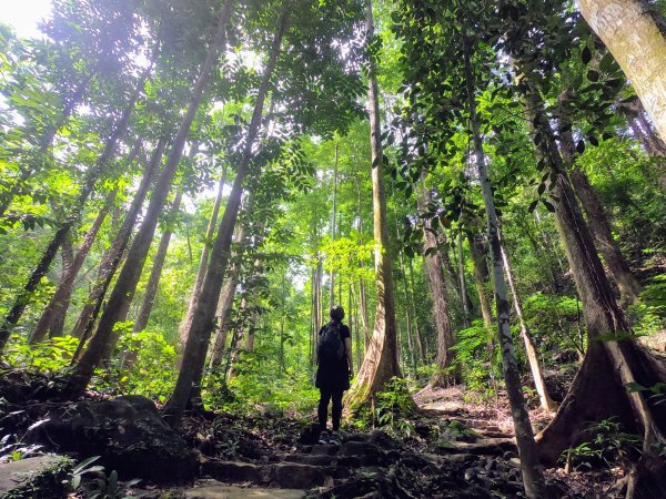 登山紀錄🐗#4 | 一日客家，美濃雙溪黃蝶谷(植物聯合國)