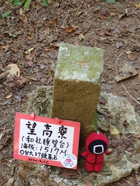 【南投信義】獵人古道連走瓊山1540152