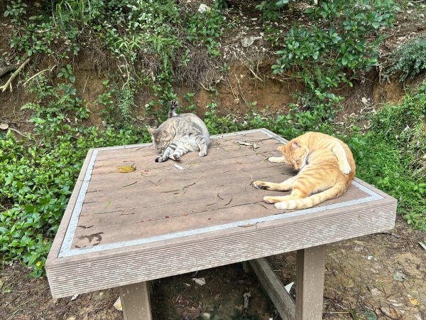 鳳崎落日步道2799190