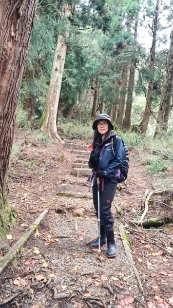 神阿縱走~台灣難抵極~大塔山2971481