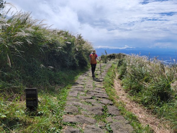 苗圃-七星山主,東峰-大屯山主峰-二子坪-202410262859679