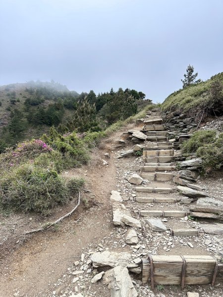 風雨中完成合歡北峰登頂2515332