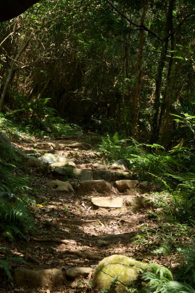 兩日立霧山觀景台(日出行程)2114804