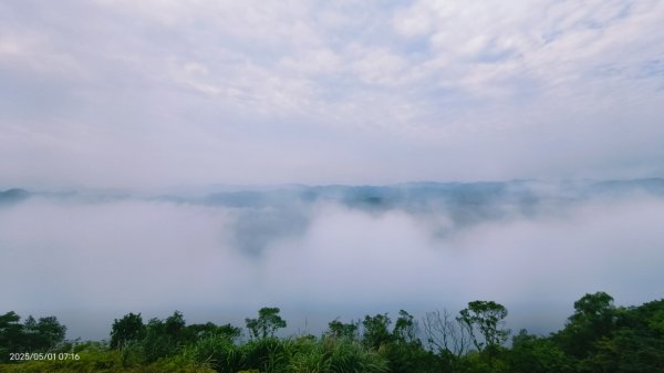 翡翠水庫壩頂 #火燒雲雲海 #日出雲海 #鱷魚島 #藍腹鷴 4/292773799