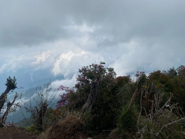 加里山955927