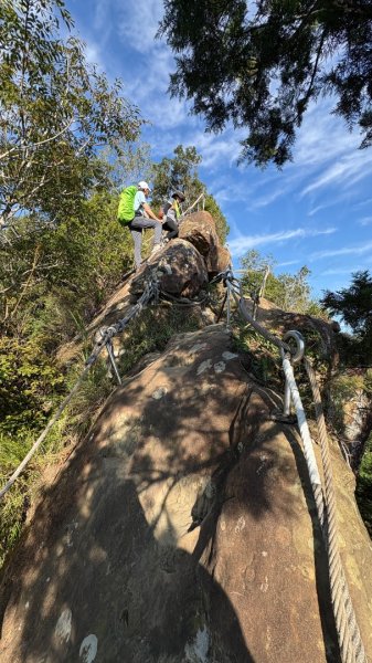 岩壁上的花、艷紅鹿子百合（12868980