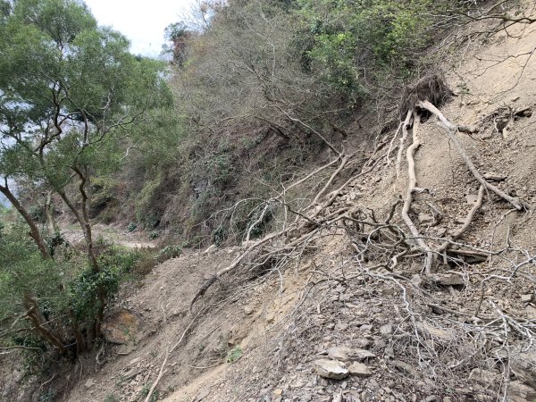20250404屏東北獅子頭山-霧里乙山2757472
