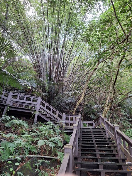 泰安登山步道+七塊山O型走202409252607294