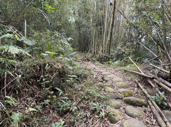 [樟之細路_第二大段RSA17] 2026_0328 飛鳳古道3026061