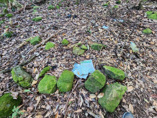 20260118騰龍山加里山O型2997507