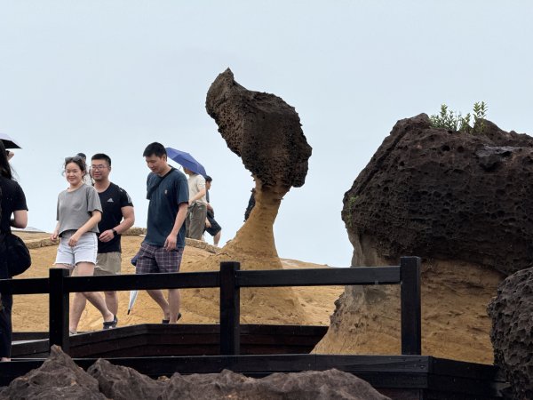 野柳地質公園、野柳岬山步道202507212863844