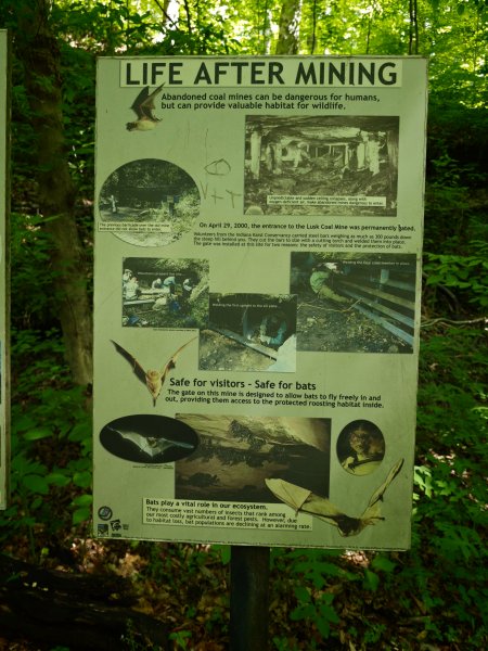 [美國行-04] 2026_0510 火雞跑步州立公園-糖溪3058938