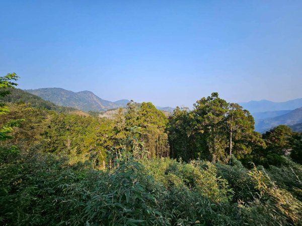 20260330十字路車站O繞多林車站 得恩亞納3027277