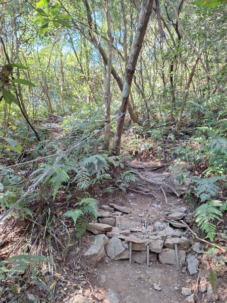 德文山(觀望山)202601052978645