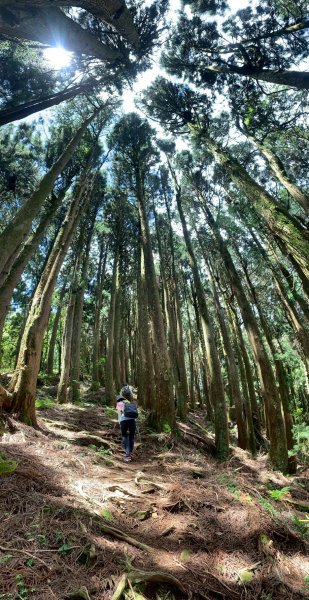 20250517義義兒玉山-東水山2791636