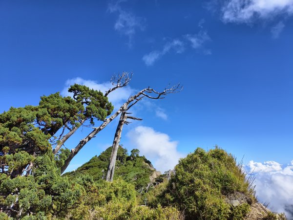 北一段(11/14)南湖北峰 2025_0906~132887332