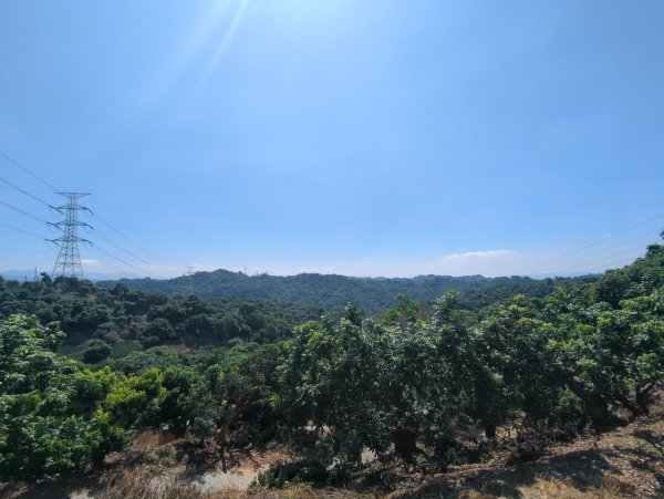 2025.10.05－阿罩霧山、中心瓏步道2908074