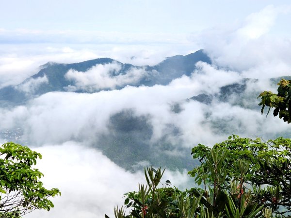 【中級山縱走】魯壁山，東穗山，大島田山，宇老觀景台2771725