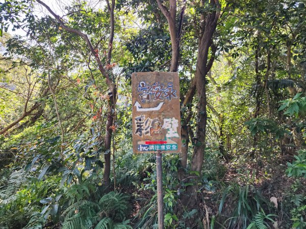 小百岳No.19⛰福德坑山(鳶山)2739695