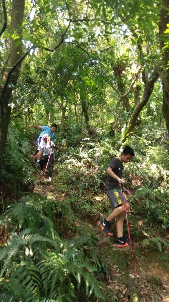 1070725暑期藝術營-鵝角格山545762