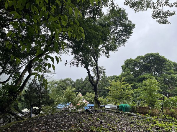 [皮皮獅探險隊-08/10] 2025_0719 李崠山步道2842971