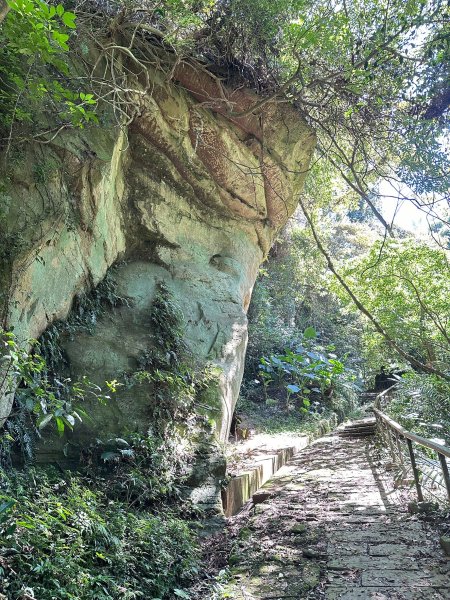 獅山古道走一遭獅頭到獅尾2564160