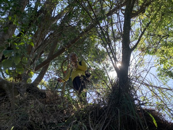 20250322南投松柏坑山-大棚山2745845