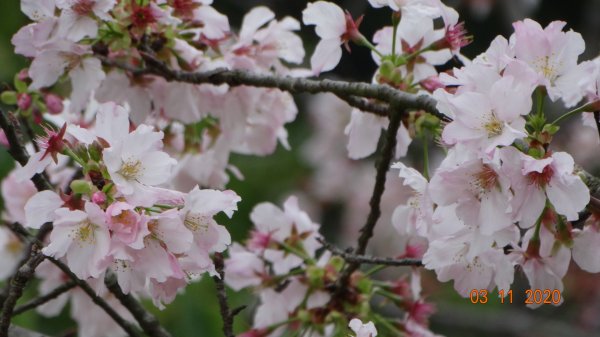 沒有意外，再度槓龜 !876571