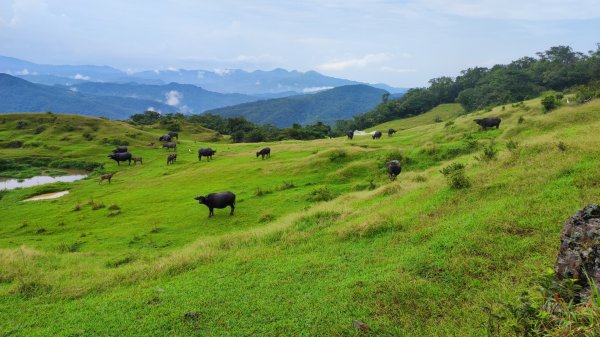 灣坑頭山2252387