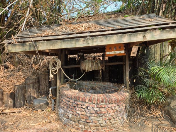 北頭洋生態健走步道3023996