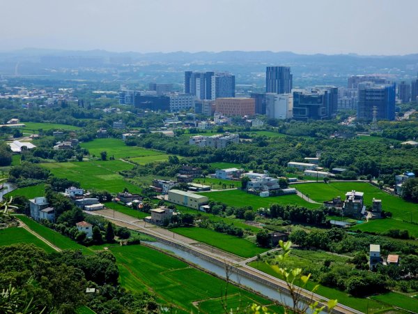 犁頭山、文山步道-2025森遊竹縣皮皮獅探險隊2890086