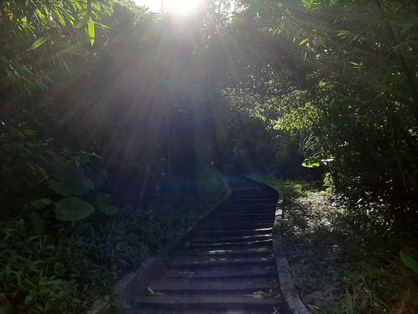 觀音山尋寶之硬漢嶺 牛港稜山 林梢1037530