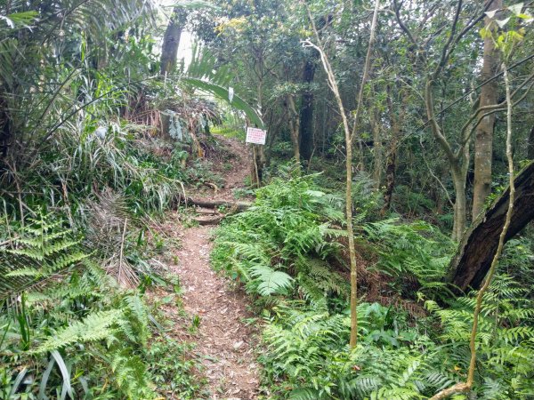 新店小獅山訪11座涼亭縱走待老坑山尋山頭902179