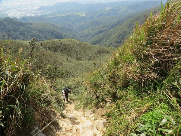 礁溪聖母朝聖地.三角崙山來回386630