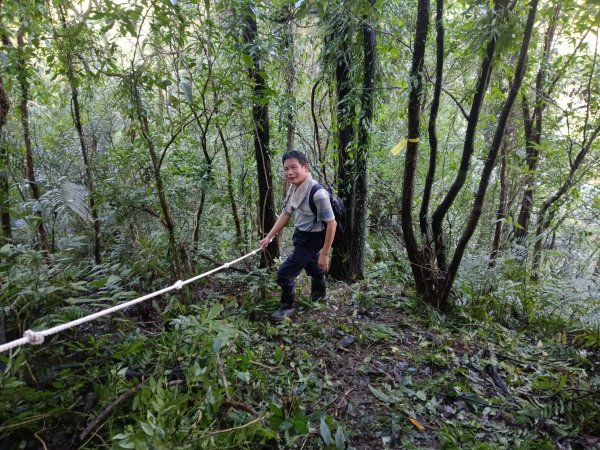雙溪區雙坪一號橋+盤山坑山+土地公山+474峰+石硿子越嶺古道O型2936404