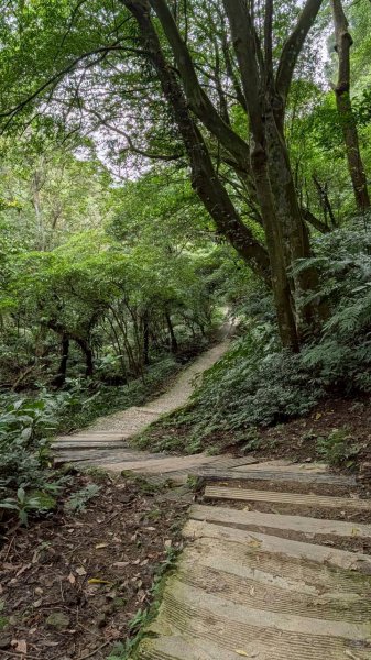 天上山步道2980442
