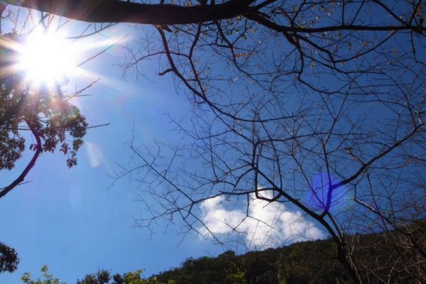 雷隱橋頂湖山O型走中正山觀景台(舊照片)393040
