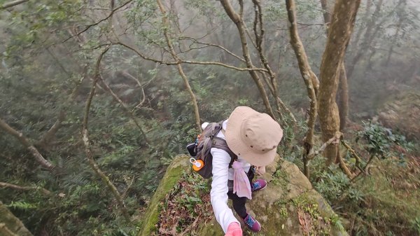 馬武督山西南峰+馬武督山O型走3012856