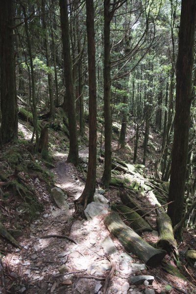 八仙山-夏日避暑好所在631701