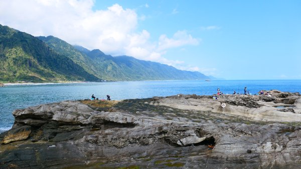 洄瀾東海岸3006698