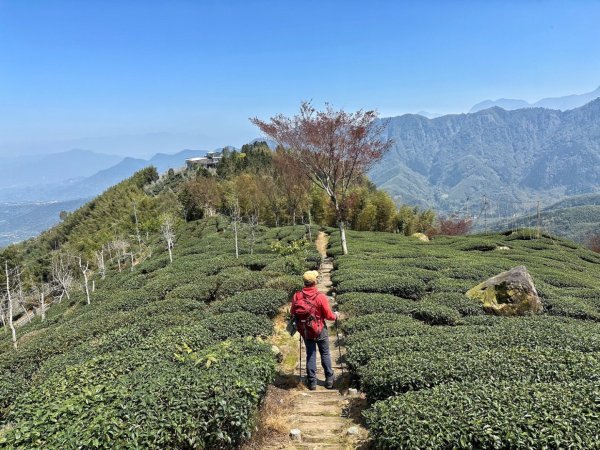溪頭六連峰O繞2741794