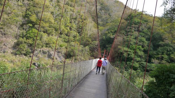 虎山登山健行趣(中級山)1516854