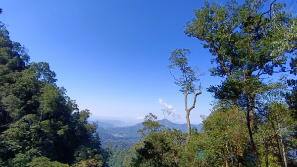 水社大山/水社主峰（青年活動中心起登）1613886