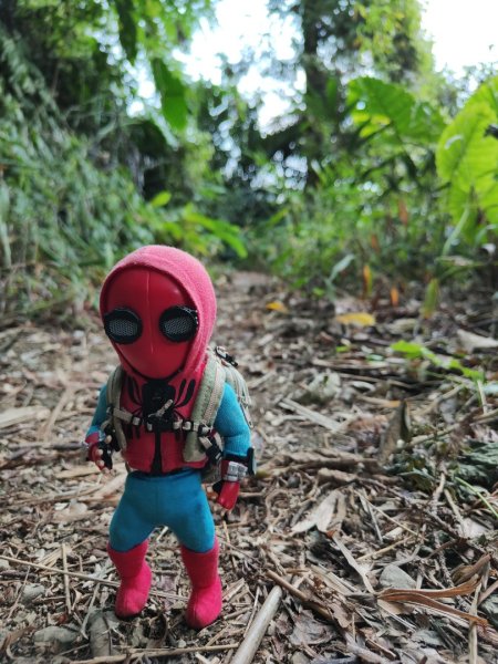 2023.11.30 九份二山2677669