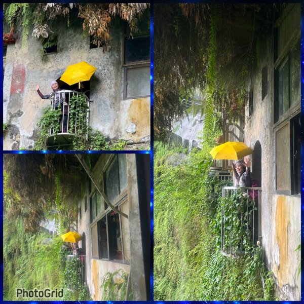 微笑山⛰️線-大棟-二格山-五分山-天上山-鳶山💎12條步道完成💙2834093