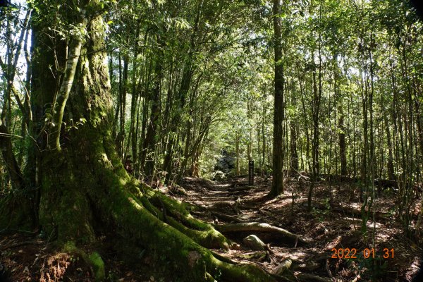 臺中 和平 稍來山1597382