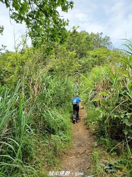 【南投信義】望鄉部落抬頭見玉山。 獵人古道連走、望美山、瓊山2274303