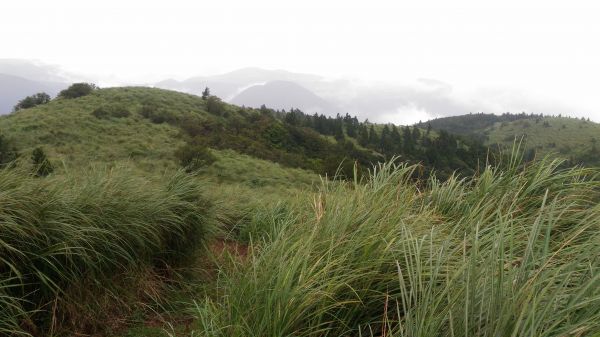 大屯山西峰後, 緊接著大屯山南峰174715