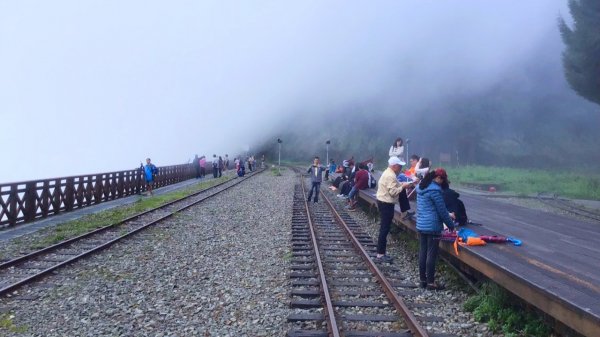 【二萬平車站火車時】2019阿里山私房景691783